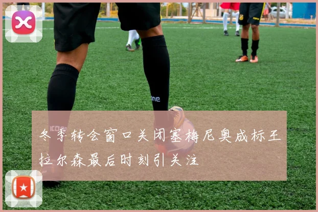 冬季转会窗口关闭塞梅尼奥成标王拉尔森最后时刻引关注