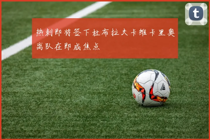 热刺即将签下杜布拉夫卡维卡里奥离队在即成焦点
